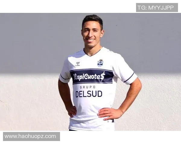 防卫者与拉普拉塔激战正酣意外提前结束比赛背后原因揭秘